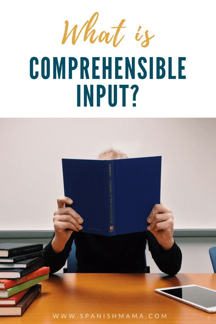 What is comprehensible input