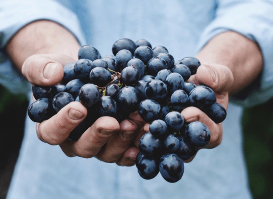 año nuevo uvas