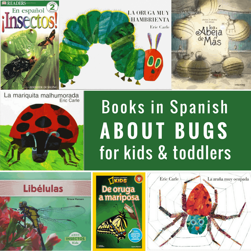 spanish bug books