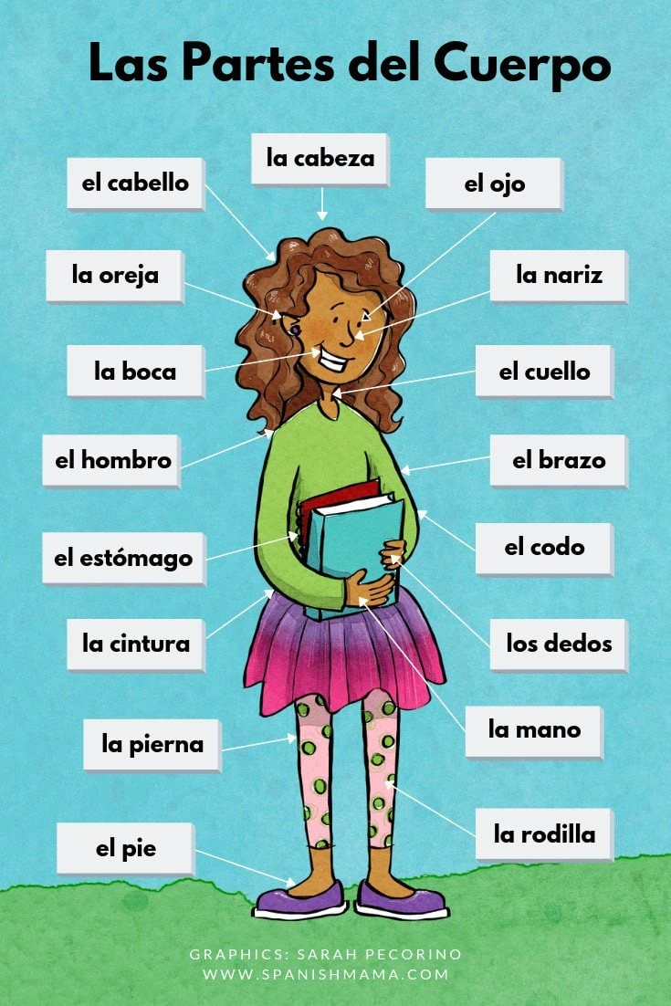 Body Parts in Spanish Games and Activities for Learning Them