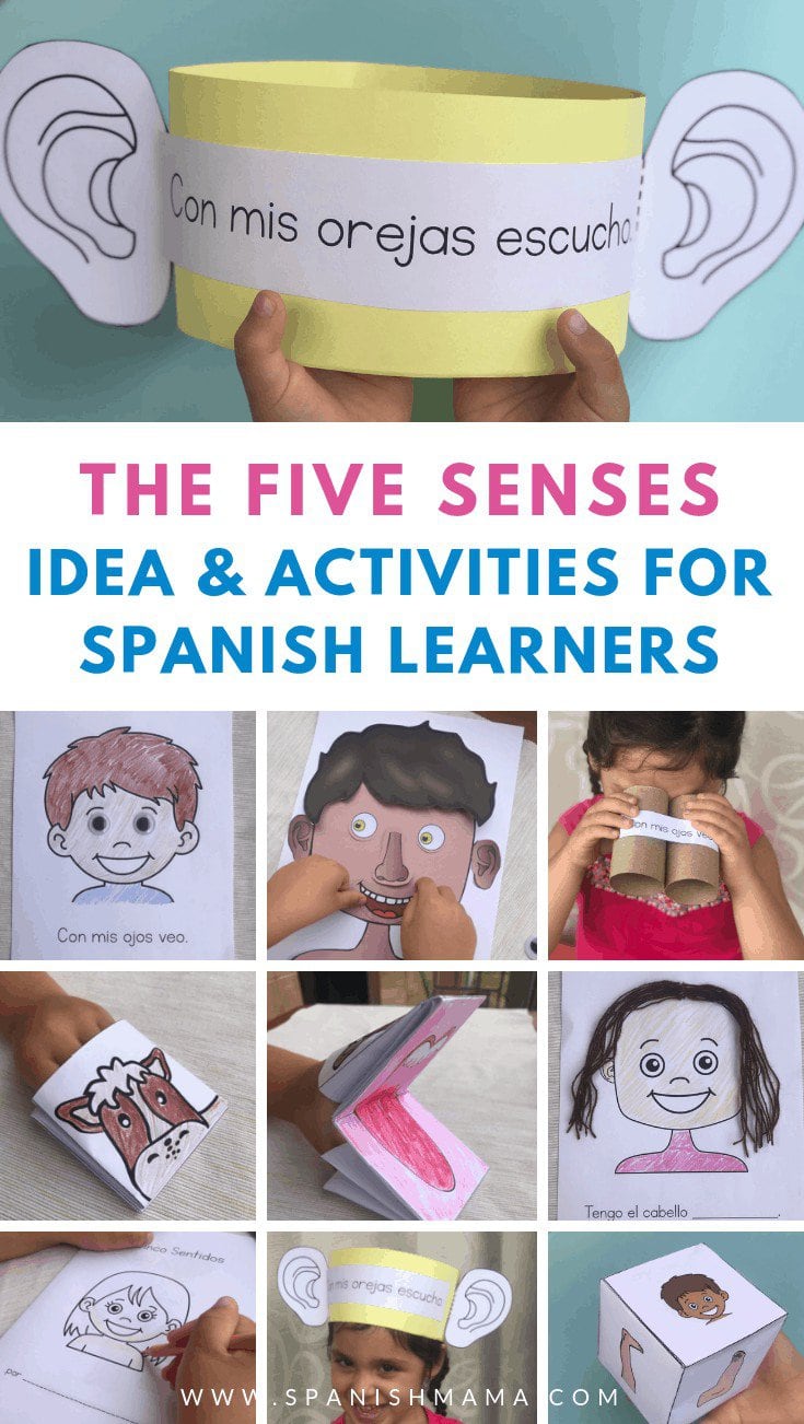 cinco sentidos for spanish class