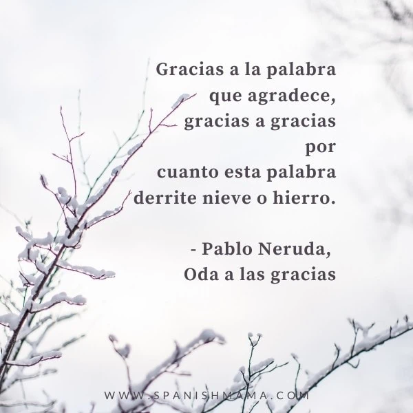 20 Gratitude Quotes in Spanish