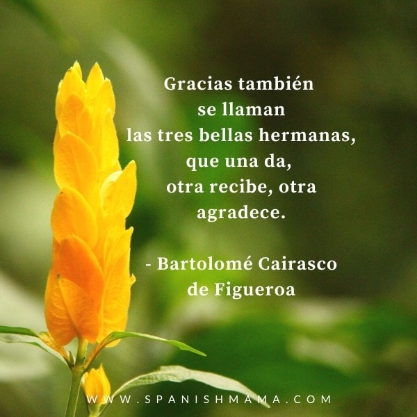 Palabras que inspiran: Las Gratitudes 📚 