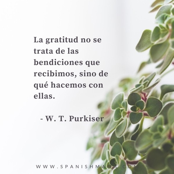 Las gratitudes (Spanish Edition)