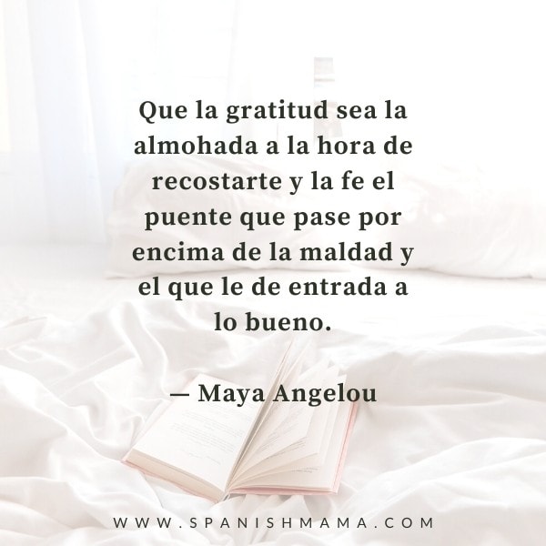 Palabras que inspiran: Las Gratitudes 📚 