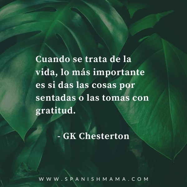 Palabras que inspiran: Las Gratitudes 📚 