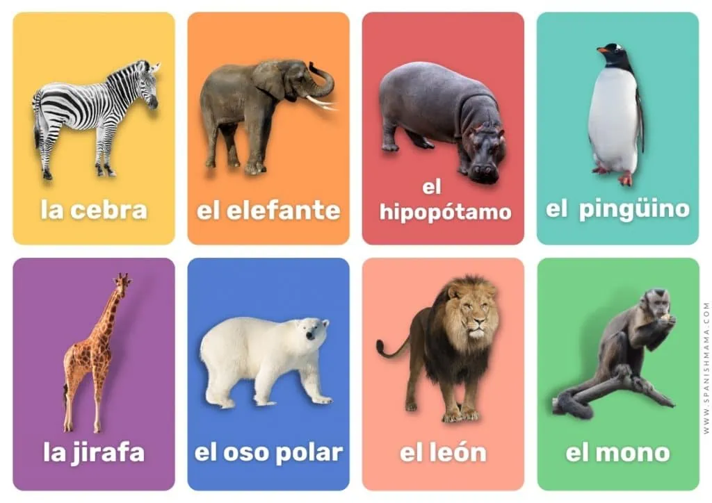 zoo animals Spanish flashcards for kids