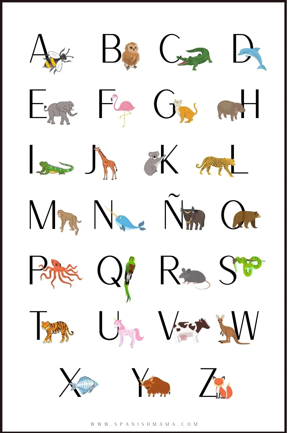 spanish alphabet pronunciation printable