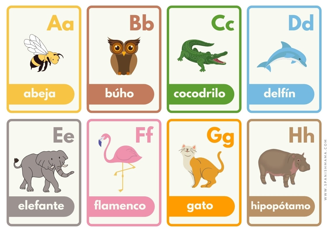 spanish alphabet flashcards printable free pdf