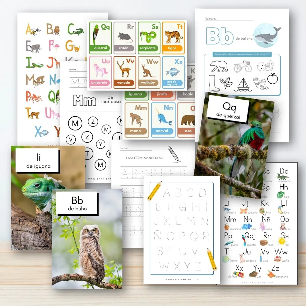 A Guide to the Alphabet in Spanish with Free Printables