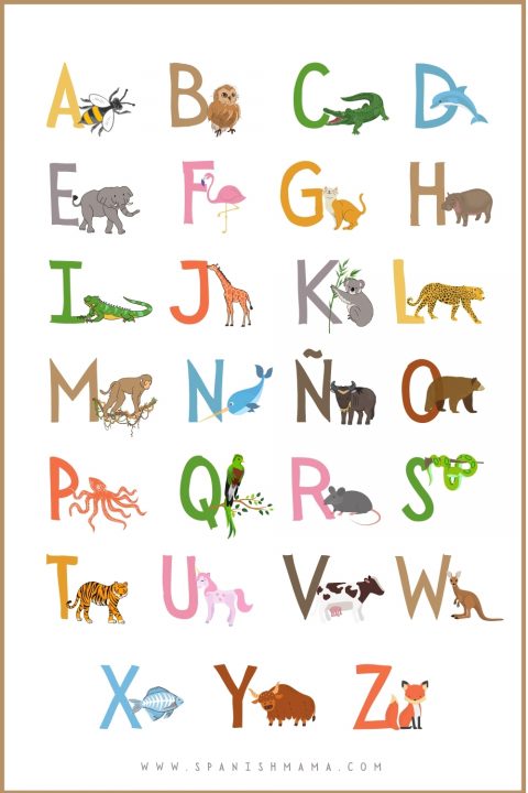 A Guide to the Alphabet in Spanish with Free Printables