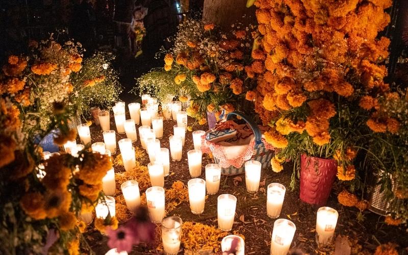 Day of The Dead: The interesting meanings behind different colours